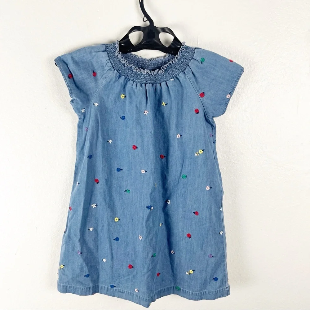 HANNA ANDERSSON Girls Springtime Chambry Ruffle Neckline Trim Dress, Size 6-7